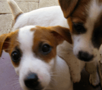 Screen Shot 2013-08-13 at 6.19.38 PM